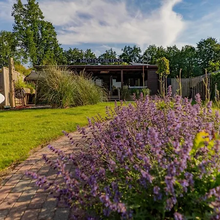 Drents Genieten - Lavendelheide Met Uitzicht Op Het Water Erm Extérieur photo
