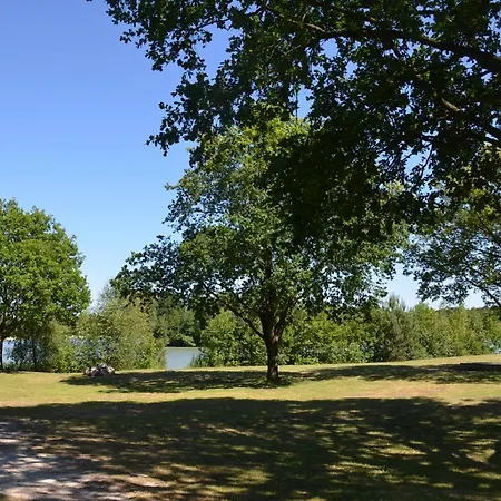 Drents Genieten - Lavendelheide Met Uitzicht Op Het Water Erm Extérieur photo