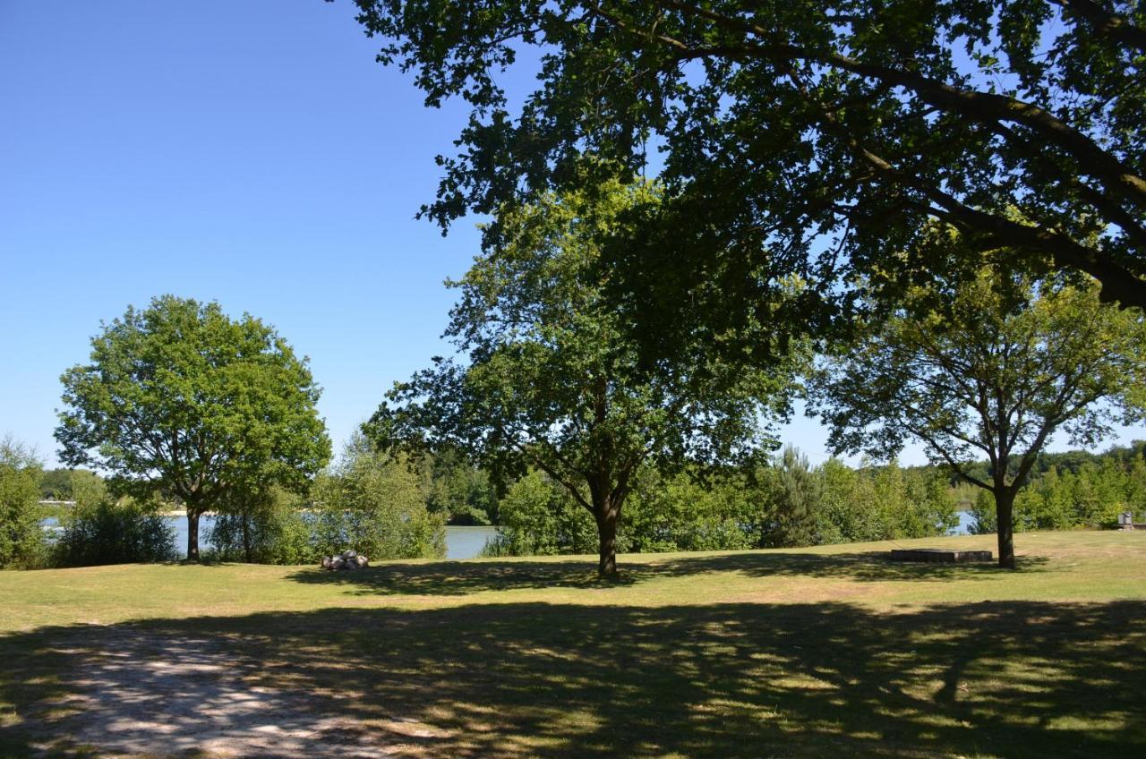 Chalet Drents Genieten - Lavendelheide Met Uitzicht Op Het Water Erm